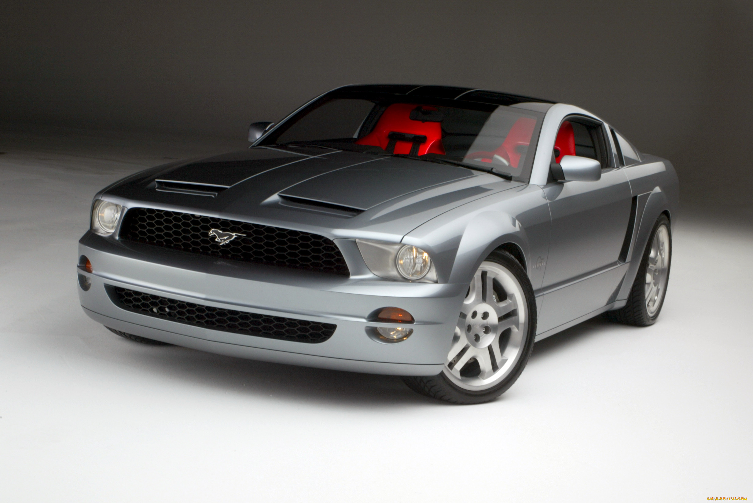 , mustang